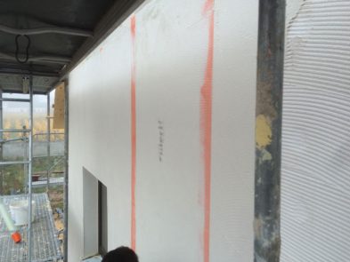 crépis fibre de bois